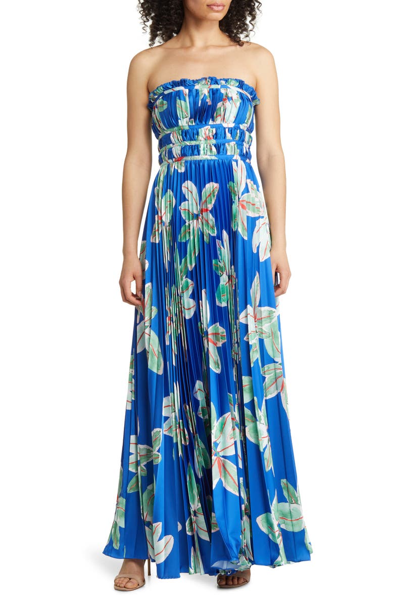 Hutch Sabina Floral Tiered Plissé Gown, Main, color, 