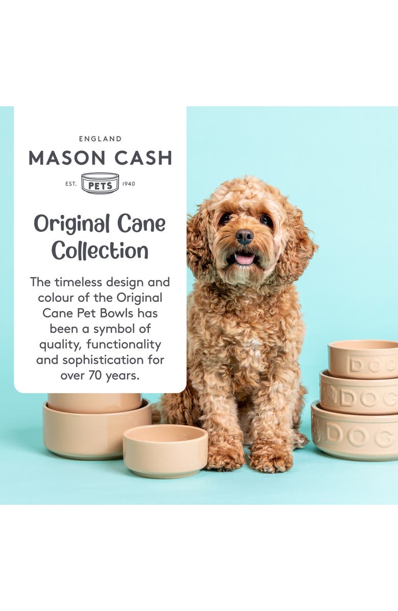 MASON CASH 5.2 Inch Cane Cat Food and Water Bowl, Alternate, color, Brown
