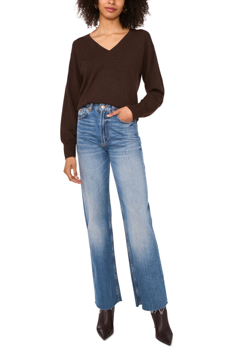 Long Sleeve V-Neck Sweater, Alternate, color, ESPRESSO