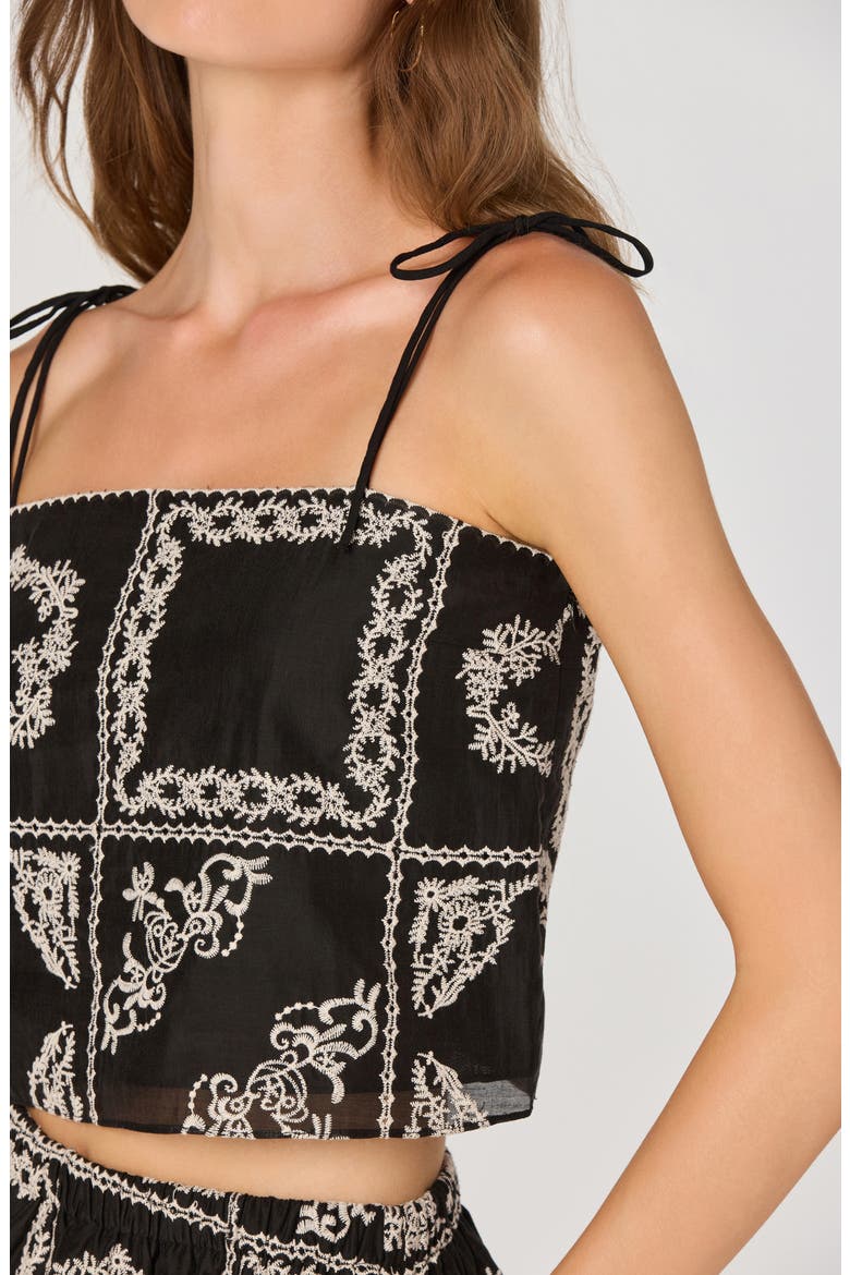 Tie Strap Mosaic Embroidery Crop Top, Alternate, color, BLACK EMBROIDERY
