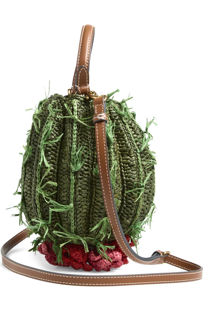 Anya Hindmarch Cactus Crochet Raffia Crossbody Bag, Alternate, color, Khaki