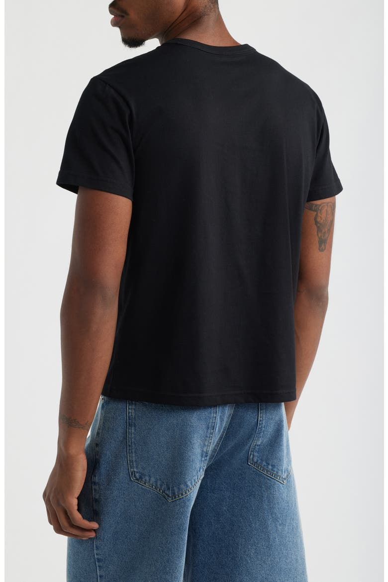 Shrunken T-Shirt, Alternate, color, BLACK