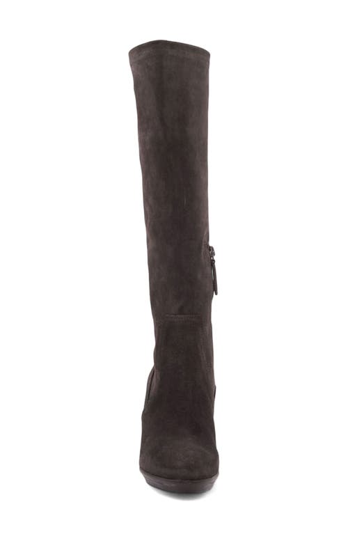 Aquatalia Rhumba Knee High Boot In Brown