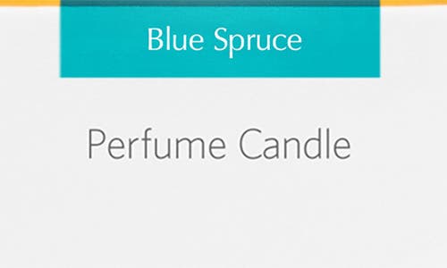 Agraria San Francisco Perfume Candle In White