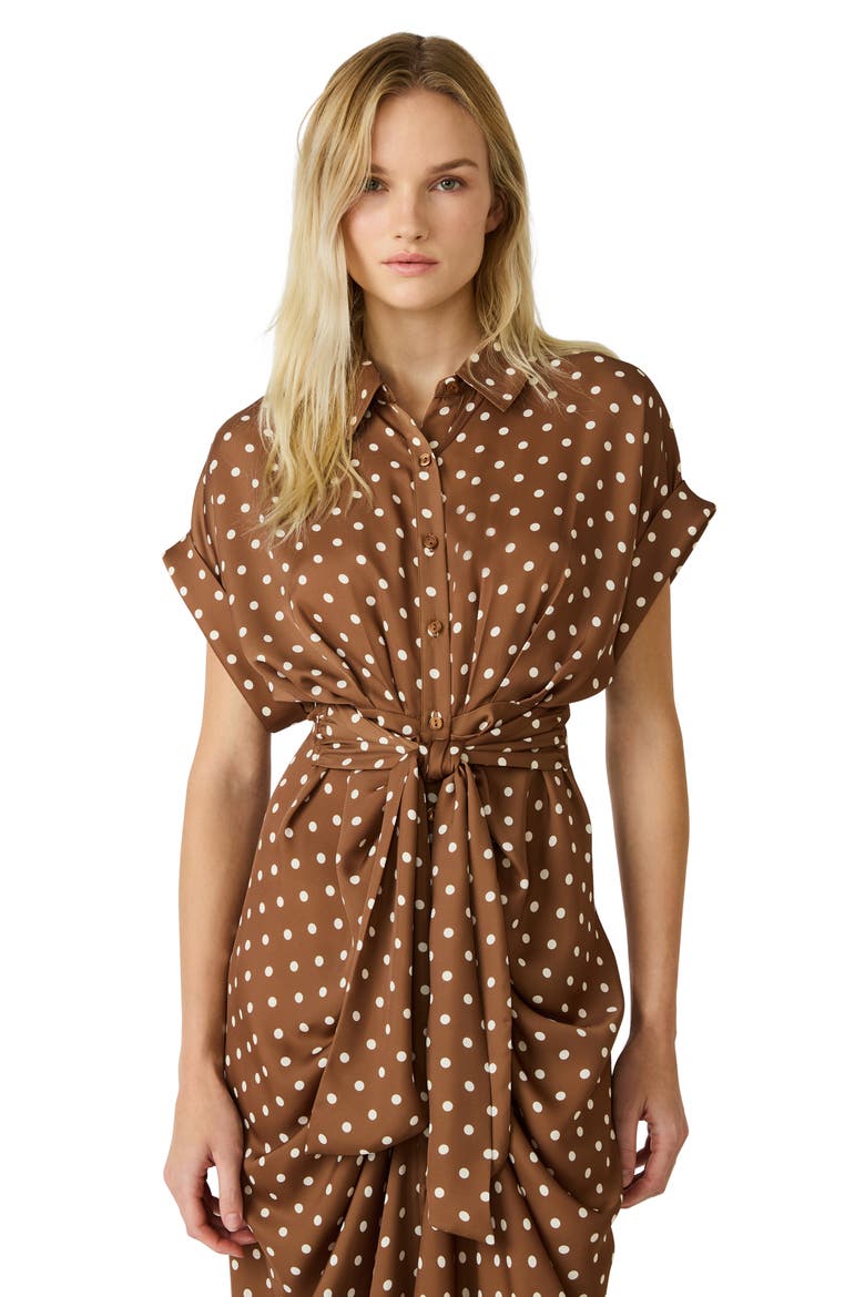 Tori Polka Dot Shirtdress, Alternate, color, TOFFEE/ ANTIQUE WHITE