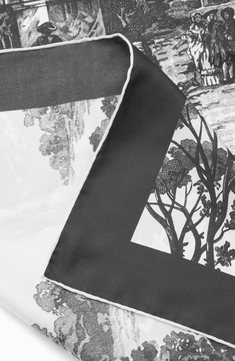 COS Toile Silk Scarf, Alternate, color, 