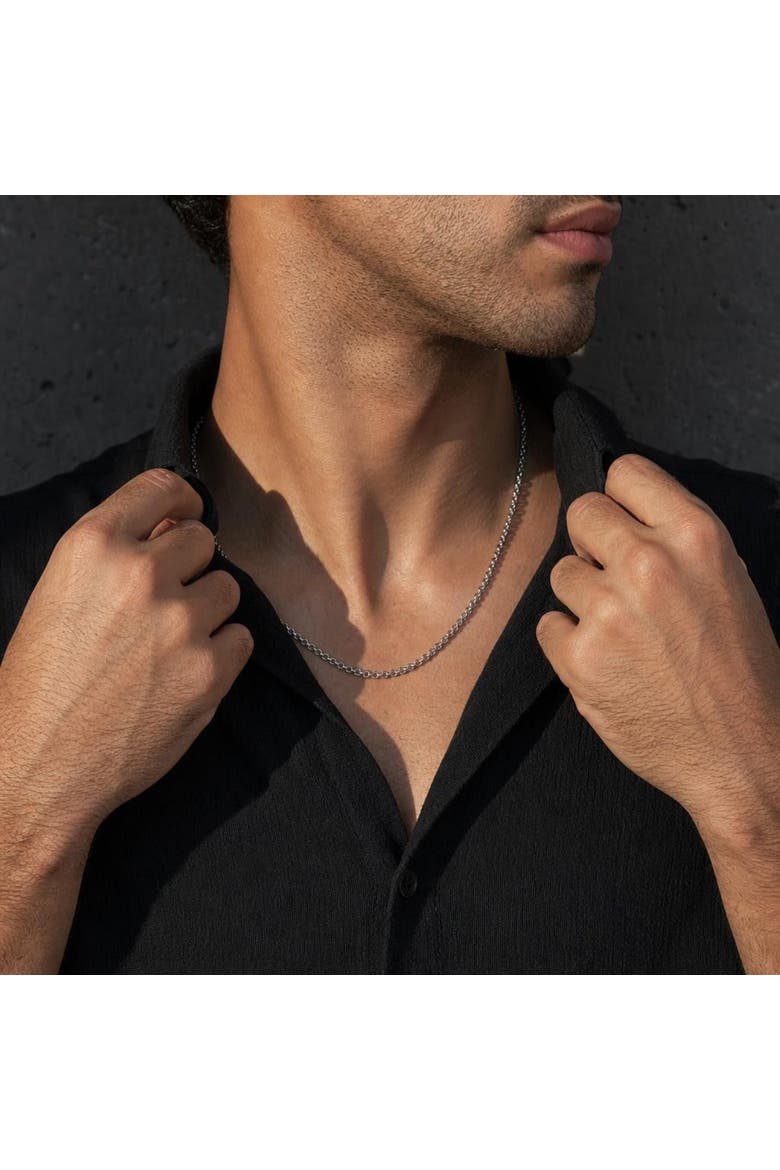 Masato Bold Rolo Chain Necklace 925 Silver, Alternate, color, Sterling Silver