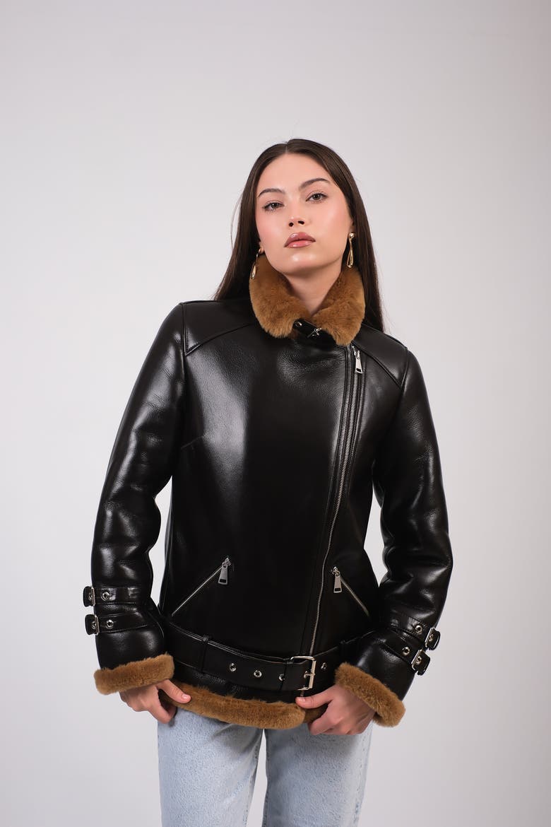 Shearling Aviator Jacket, Alternate, color, Brown