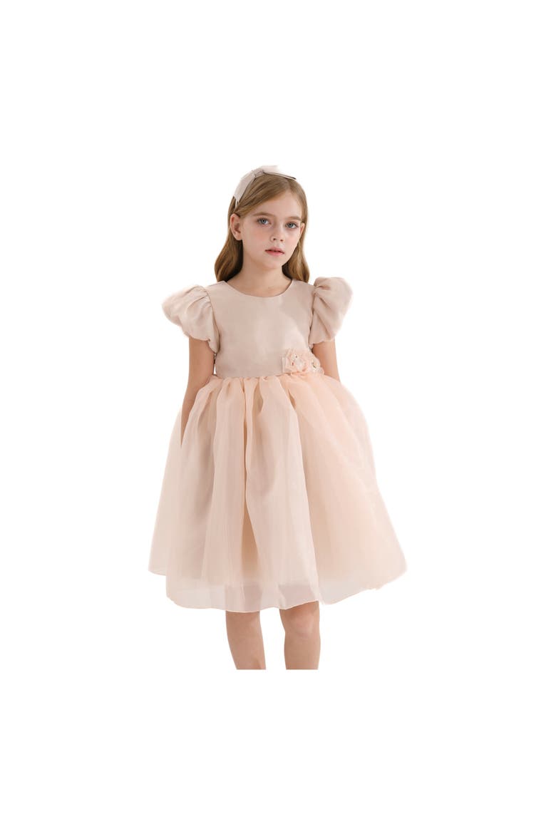 D'Amico Dress, Alternate, color, Champagne