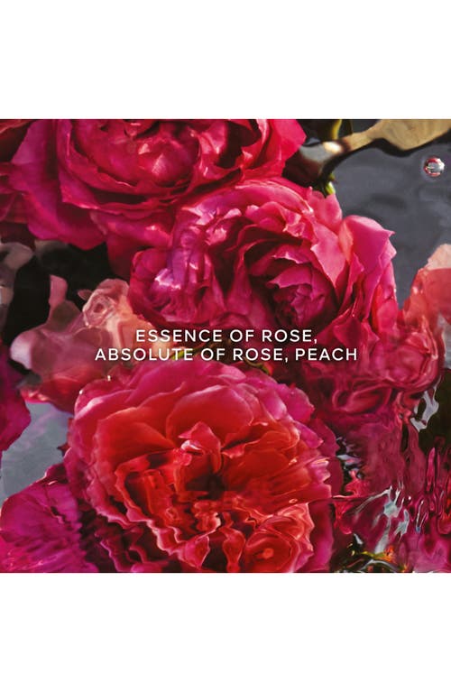 Guerlain Aqua Allegoria Rosa Rossa Forte Eau De Parfum Set $178 Value In Transparent