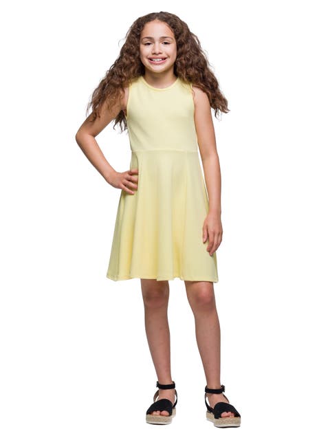 Sleeveless Knee Length Fit and Flare Dress