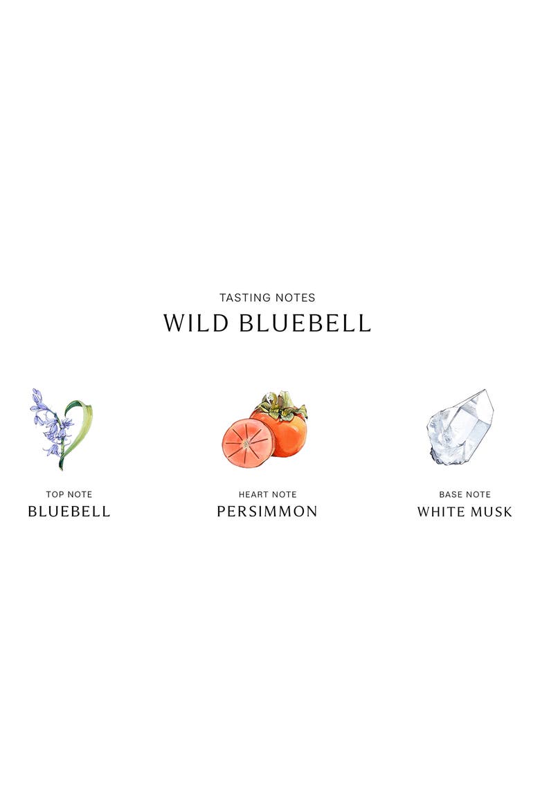Wild Bluebell Cologne, Alternate, color, NO COLOR
