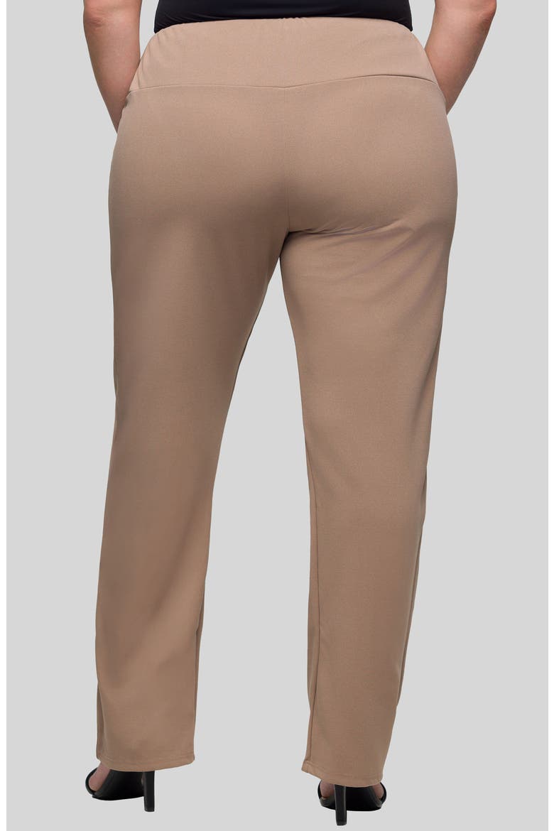High Waist Straight Leg Pants, Alternate, color, MOCHA