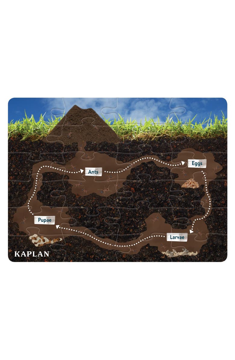 Kaplan Early Learning Company Life Cycle Floor Puzzle from Egg to Ant - 24 Pieces, Alternate, color, Brown