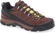 Salomon X-Alp Low Expedition Hiking Shoe