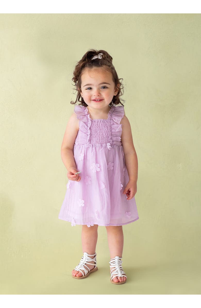 Isobella & Chloe Lavender Luna Petals Baby Toddler Dress, Alternate, color, Purple