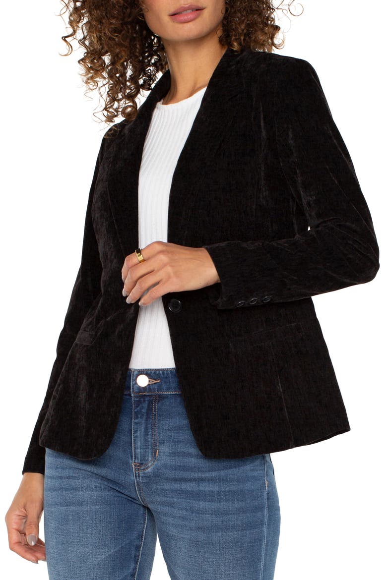 Fitted Velvet Blazer, Alternate, color, BLACK