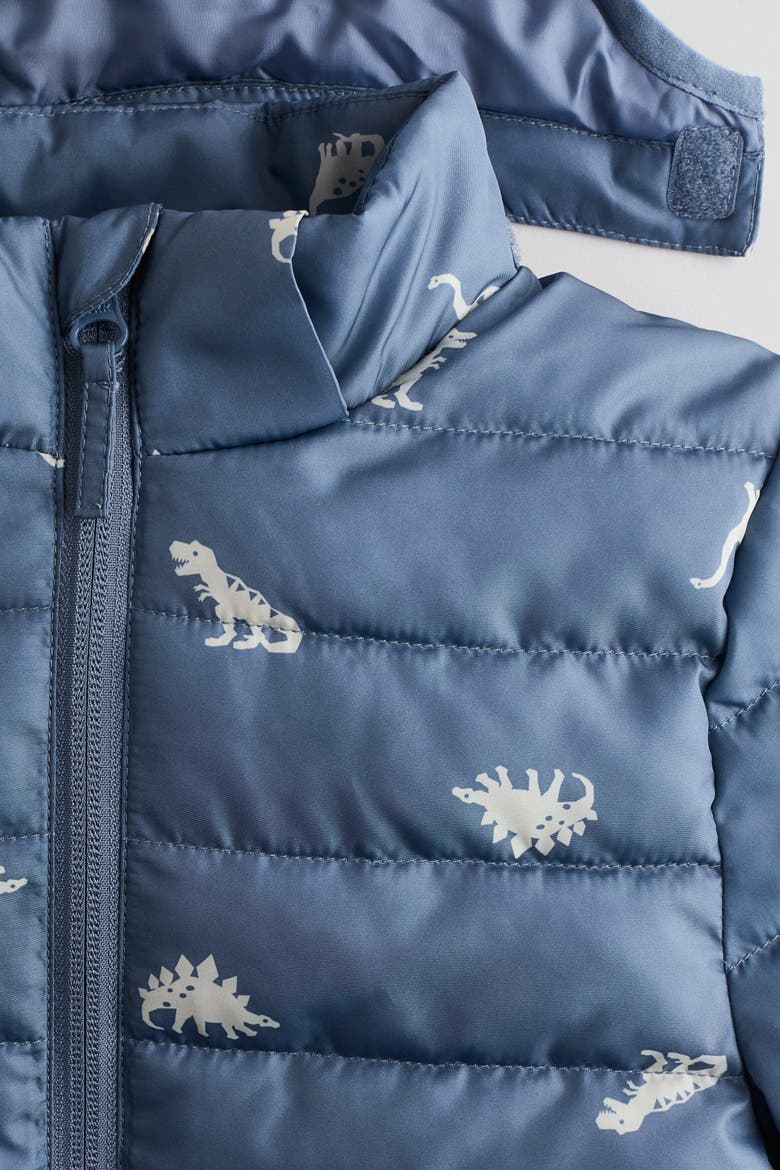 Water-Repellent Printed Puffer Jacket, Alternate, color, Dusty blue/dinosaurs