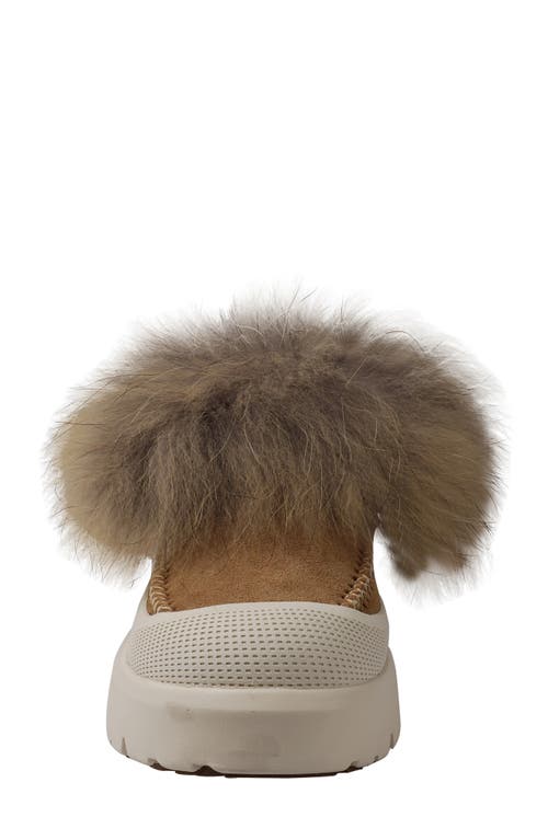 Zigi Faux Fur Lug Sole Bootie In Tan Suede