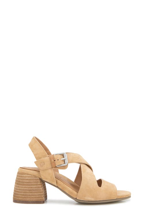 Gentle Souls Mela Crisscross Sandal In Brown