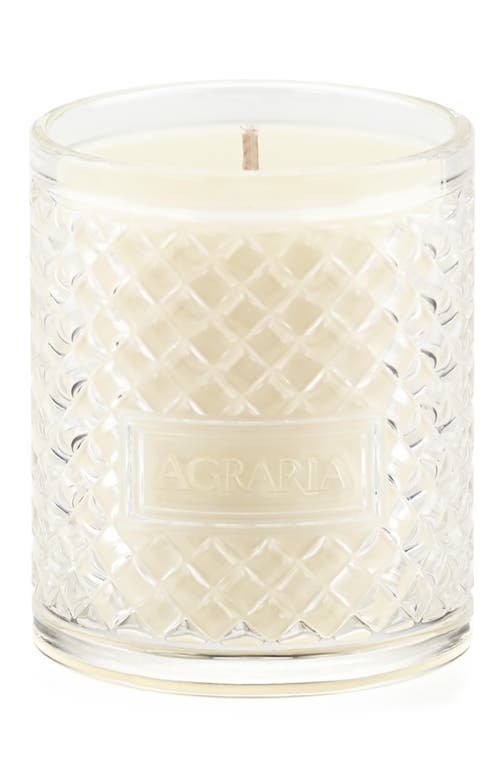 Agraria San Francisco Holiday Perfume Candle In Green