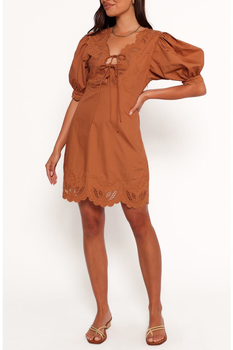 Rhodes Embroidered Puff Sleeve Minidress, Main, color, BROWN