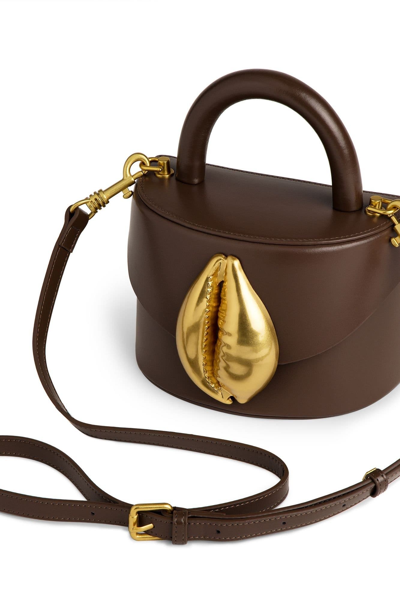 Viera Cowrie Shell, Alternate, color, Dark Brown