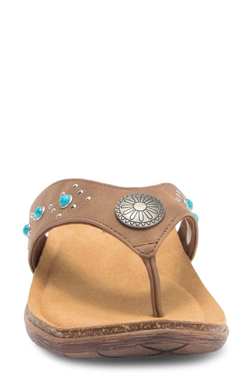 Mykos Jovie Flip Flop In Brown
