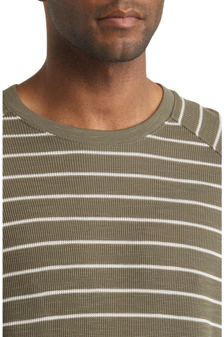 Stripe Waffle Raglan Sleeve Pima Cotton T-Shirt, Alternate, color, SYCAMORE/ BONE