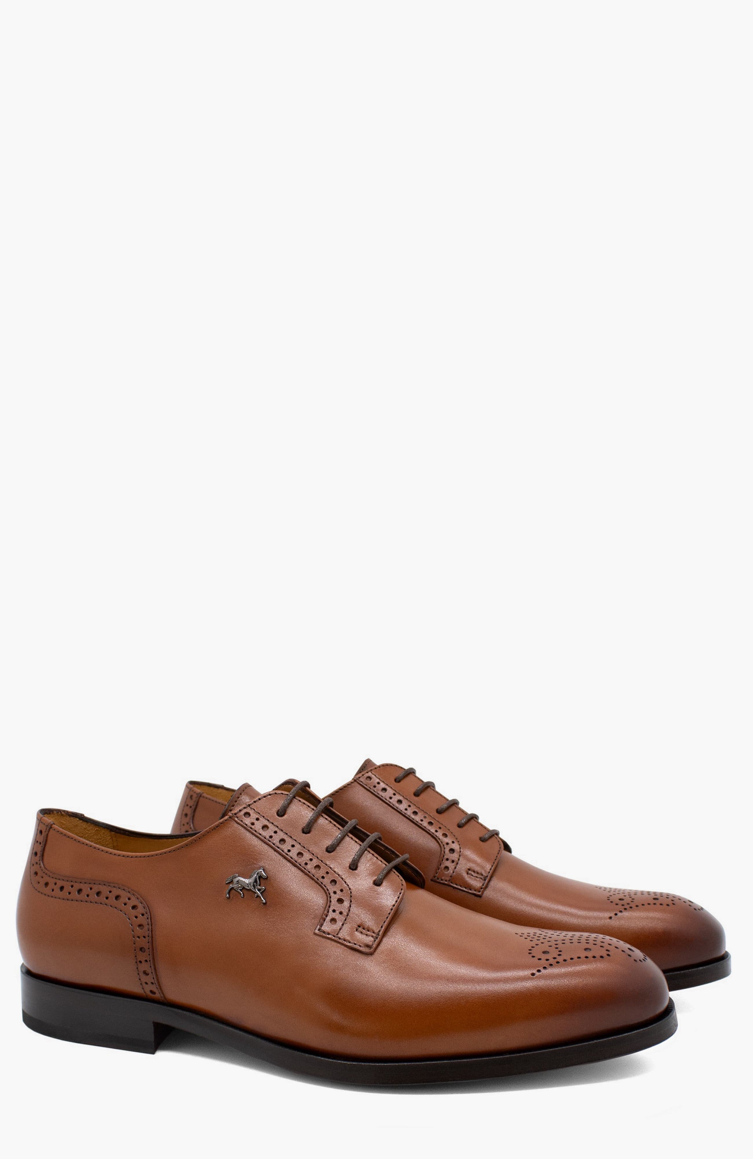 Cavalo Lusitano Leather Derby Brogue Shoes, Alternate, color, Brown