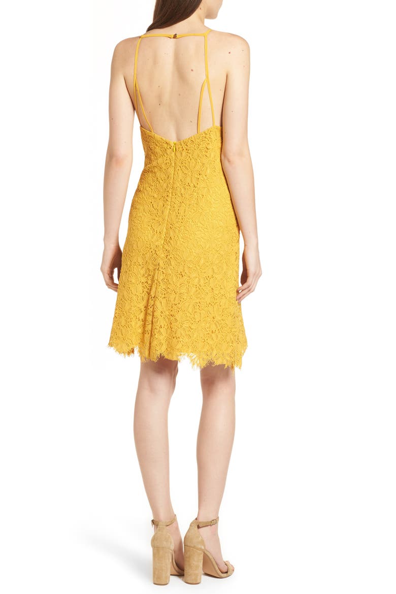Lace Shift Dress, Alternate, color, MUSTARD