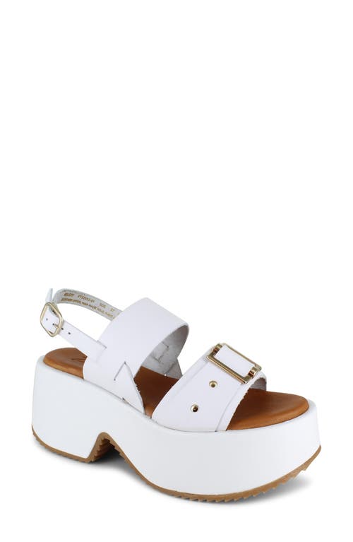 ZIGI ZIGI BELIXY PLATFORM SANDAL