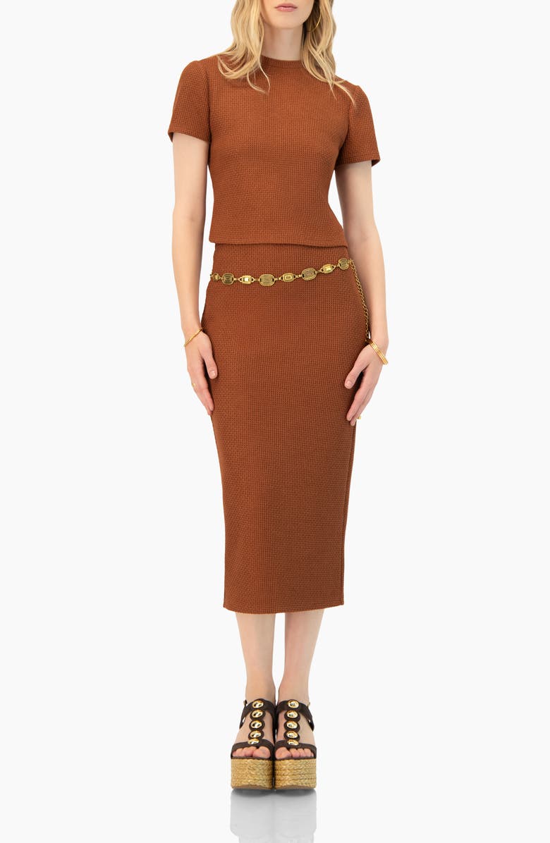 IVONNE Textured Knit Short Sleeve Top, Alternate, color, Brown