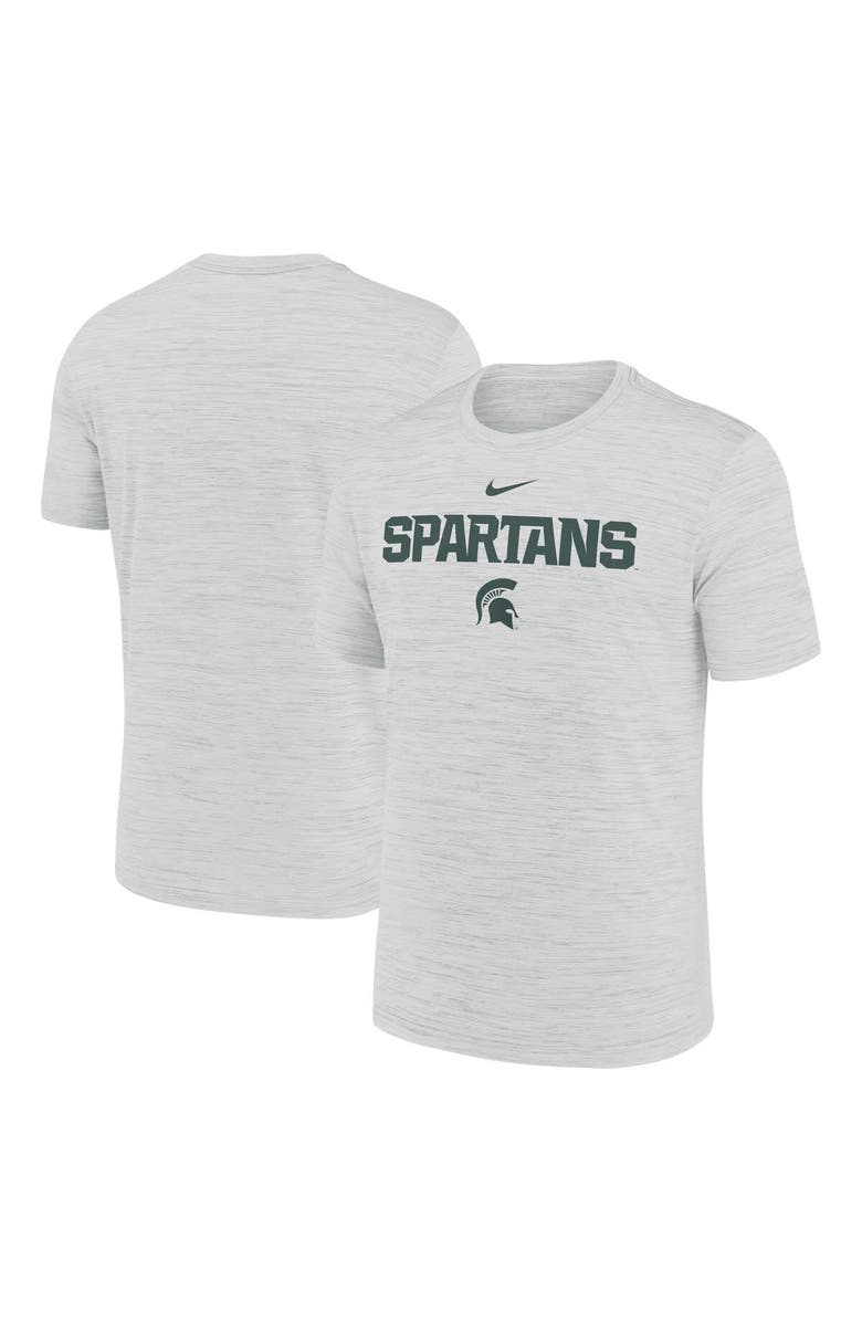 Nike Men's Nike Ash Michigan State Spartans 2025 Sideline Velocity Performance T-Shirt, Alternate, color, Ash