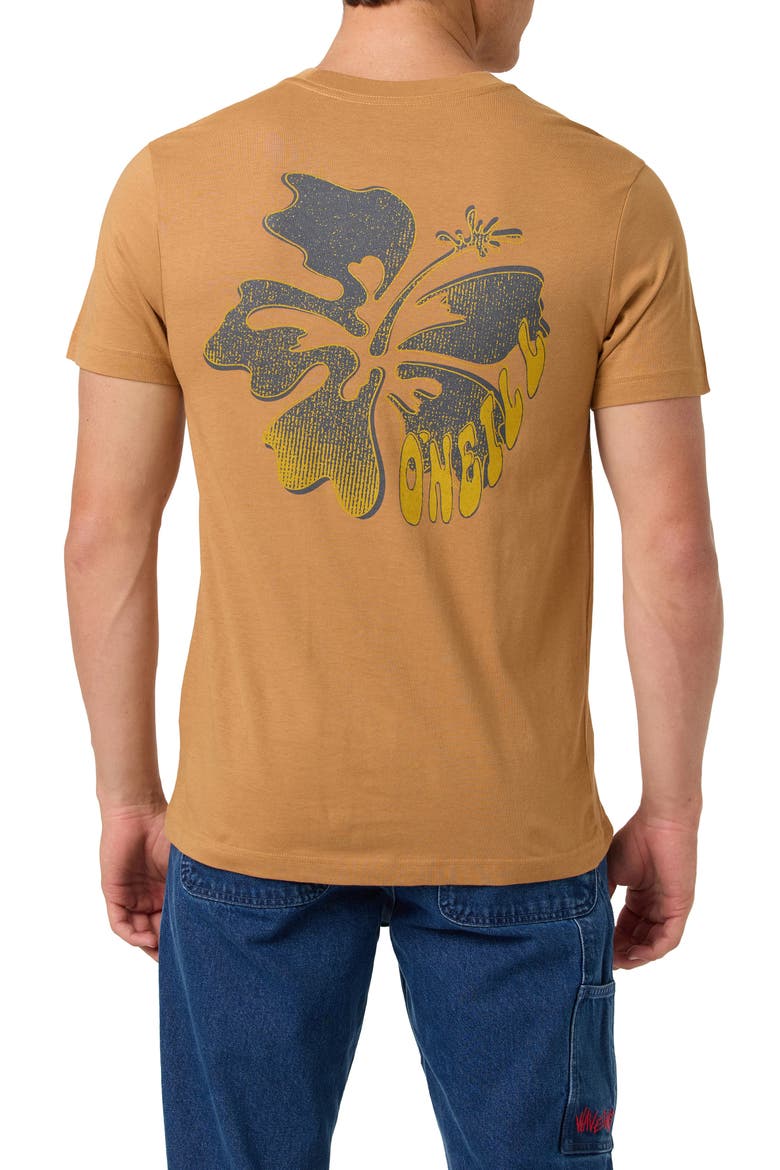 Hibis Classic Cotton Graphic T-Shirt, Alternate, color, WOODSHACK