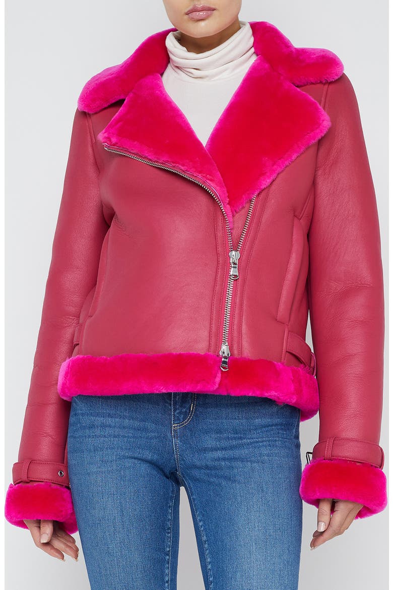 Niri Genuine Shearling Moto Jacket, Main, color, PINK GLO