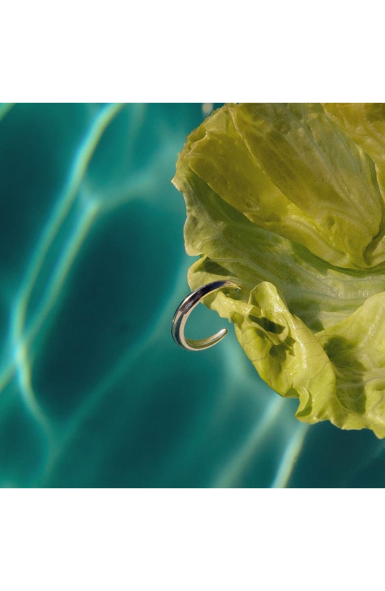 Astor & Orion Crescent Hoops, Alternate, color, Silver