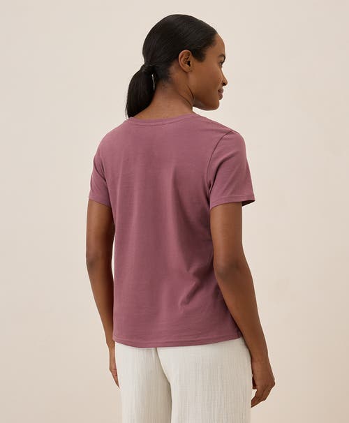 Pact Organic Cotton Softspun Crew Neck Tee