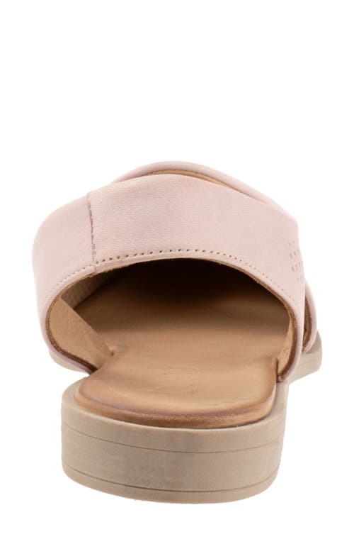 Bueno Bianca Perf Slingback Pointed Toe Flat