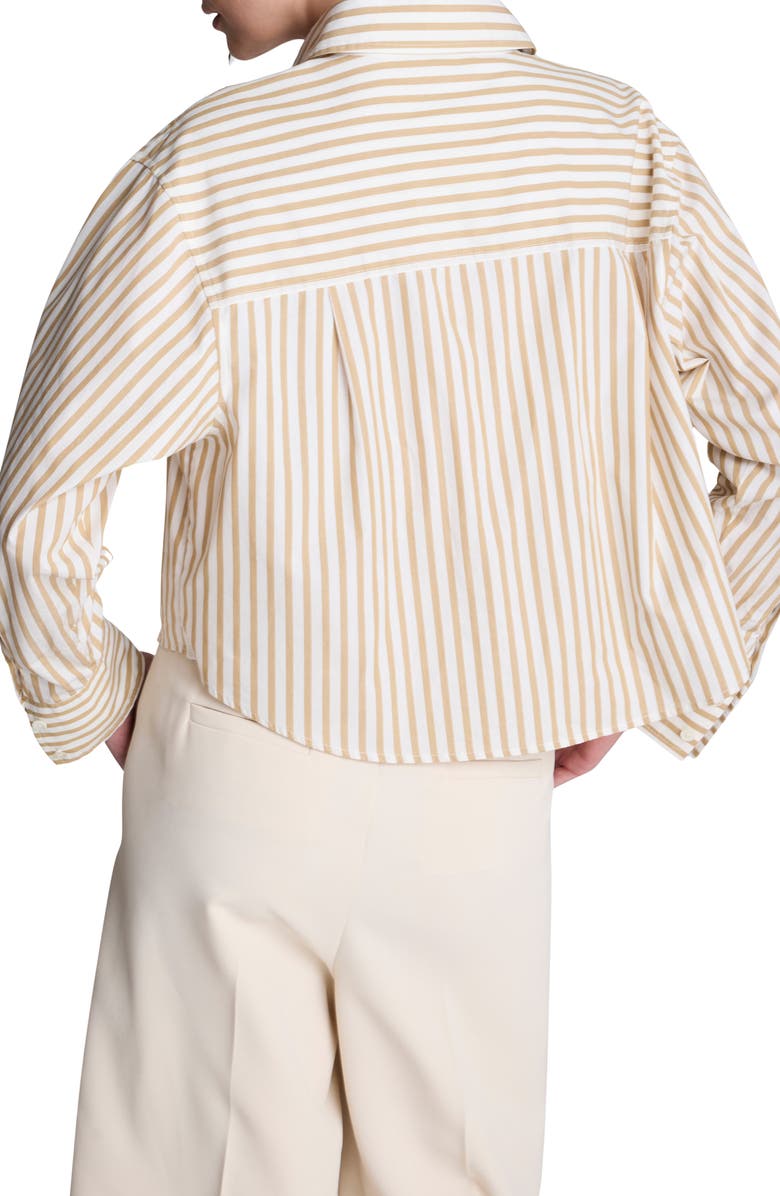Kenneth Cole Stripe Button-Up Crop Top, Alternate, color, Pure White/ Burlap