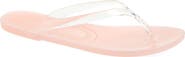 Jeffrey Campbell Beach Day Jelly Flip Flop