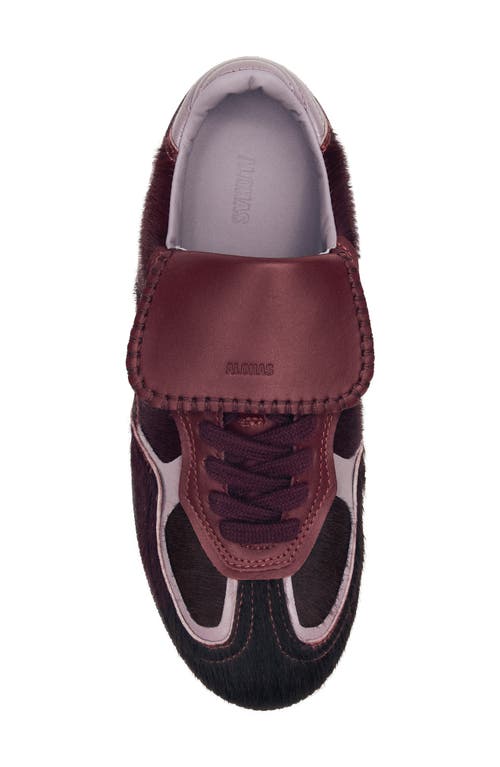 Alohas Tb.490 Club Low-top Sneakers In Burgundy