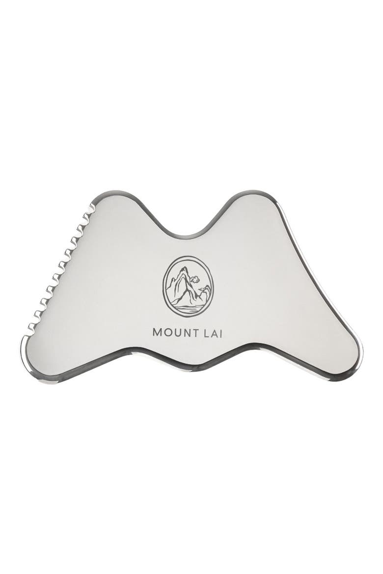 Vitality QI Stainless Steel Gua Sha Contour Tool, Main, color, SILVER