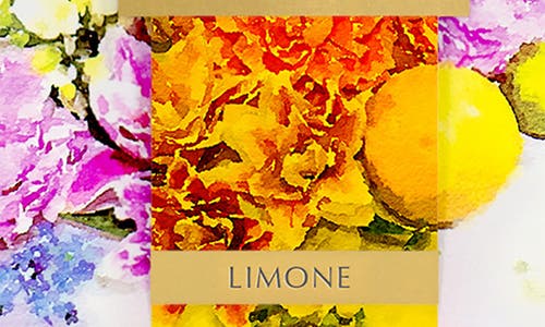 Agraria San Francisco X Monique Lhuillier Petiteessence Reed Diffuser In Yellow