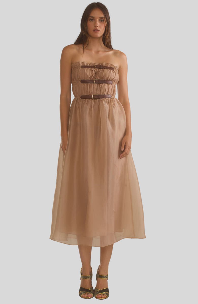 Cynthia Rowley Buckle Up Silk Organza Dress, Alternate, color,