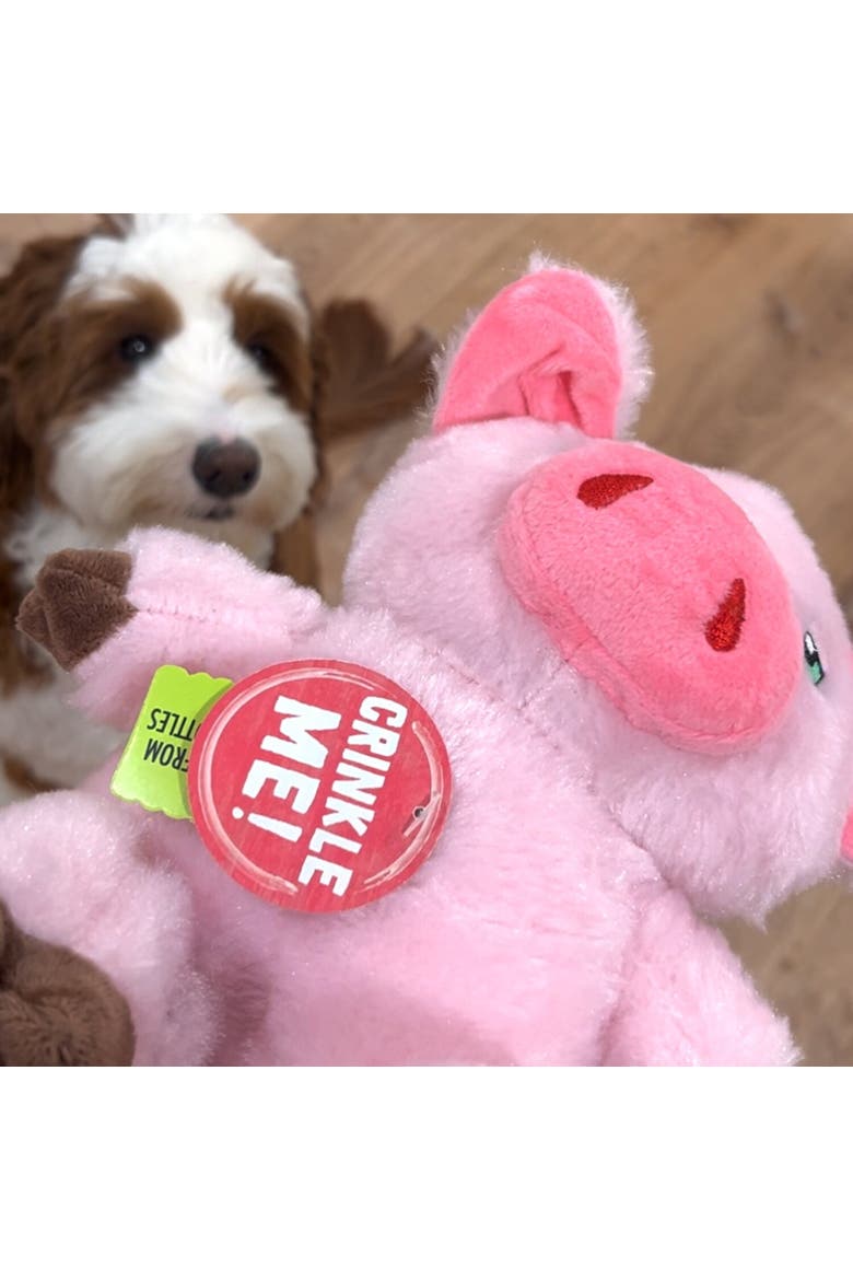 Plush Dog Toy, Alternate, color, Multicolored