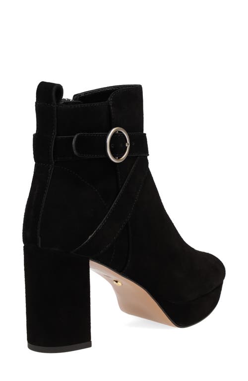 Pelle Moda Leyton Platform Bootie In Black