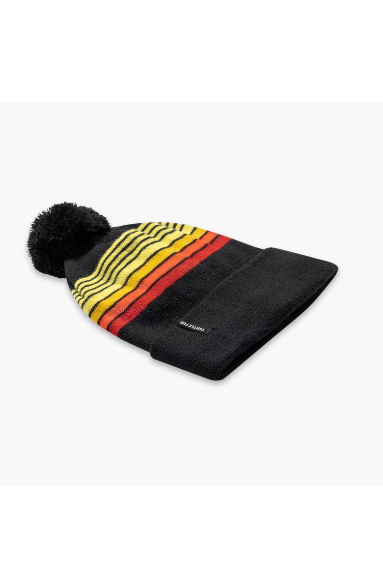 Turtle Fur Youth Omega Winter Hat, Alternate, color, Black