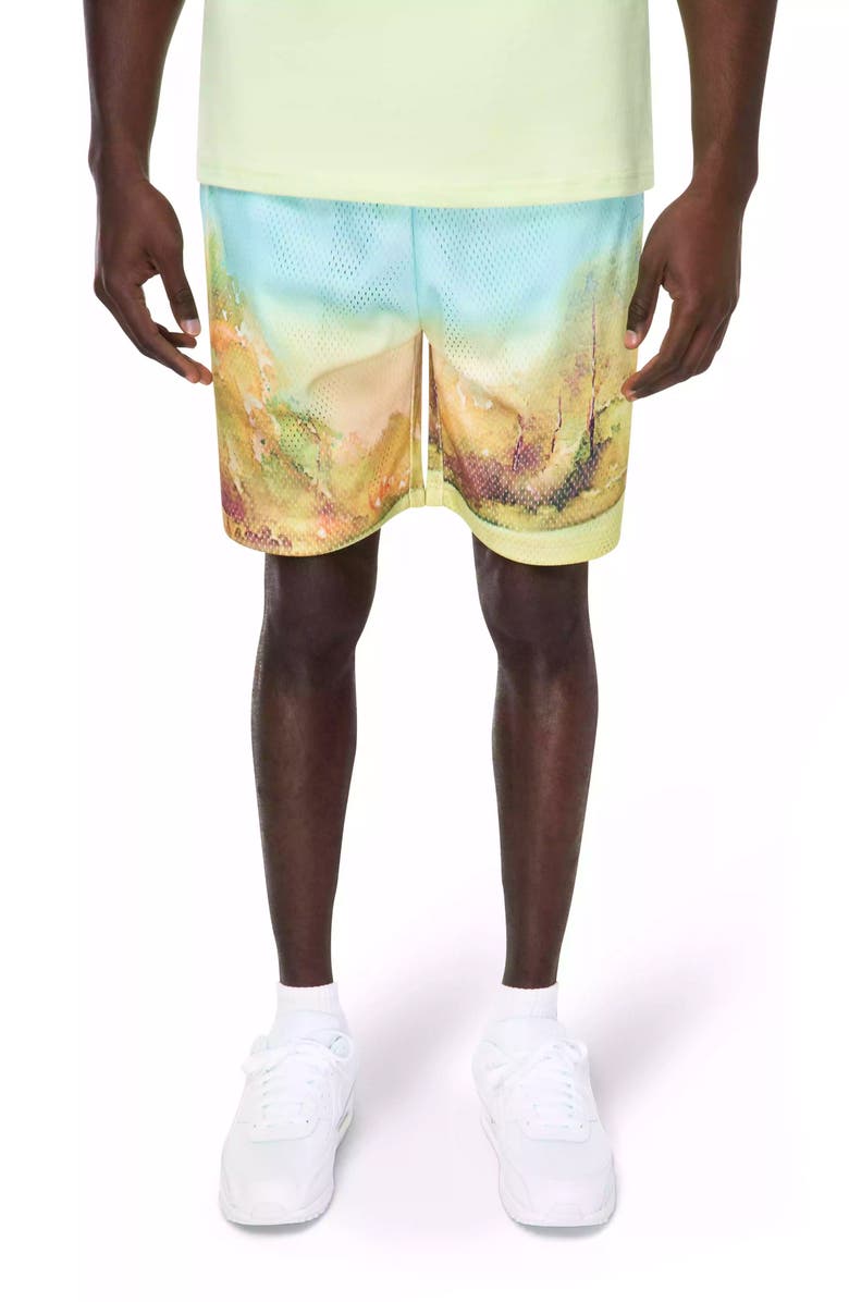 Eastside Golf Paradise Walk On Mesh Shorts, Main, color, 