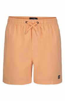 Billabong Kids' All Day Layback Swim Trunks